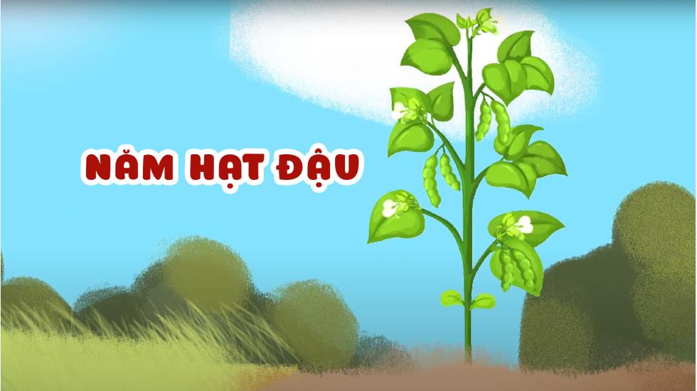 Năm Hạt Đậu (Truyện Cổ Tích Andercen)