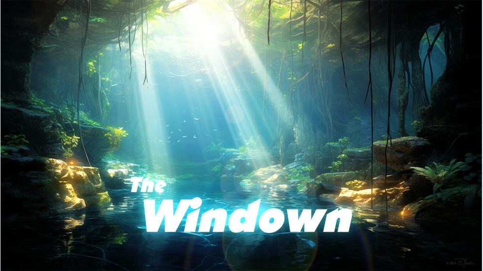 The Windown
