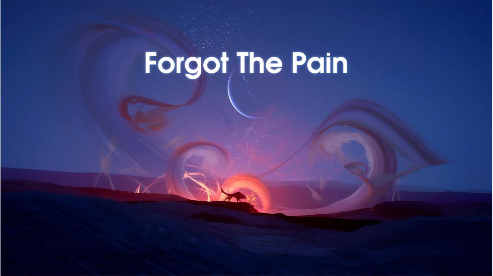 Forgot The Pain