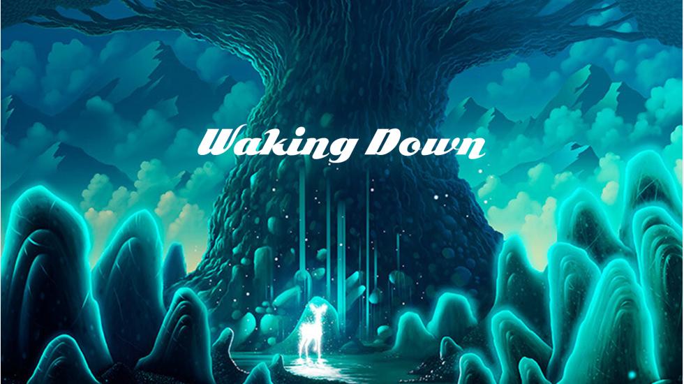 Waking Down
