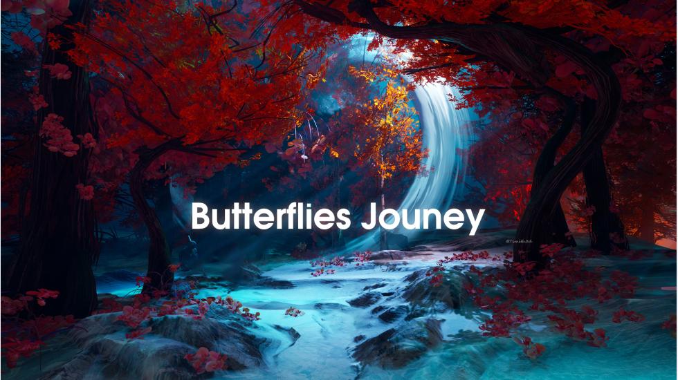 Butterflies _ Jouney