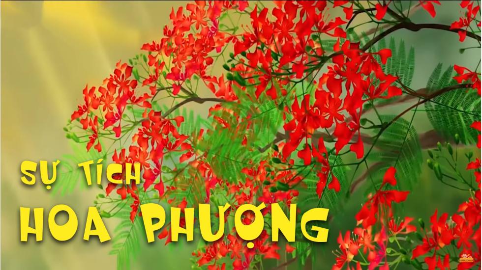 Sự Tích Hoa Phượng | Phim Hoạt Hình 3D Việt Nam Hay Nhất 2019
