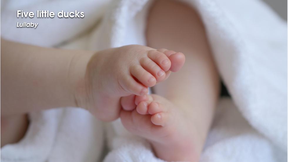 Five Little Ducks-Lullaby-Video