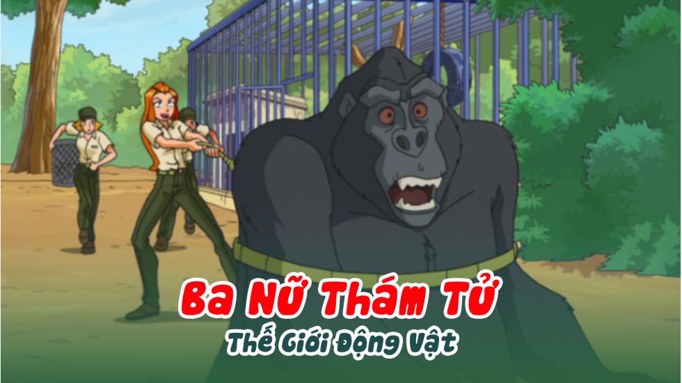 Ba Nữ Thám Tử (Phần 2): Tập 17_Thế Giới Động Vật