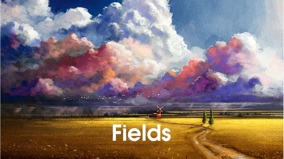 Fields