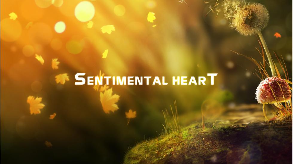 Sentimental Heart