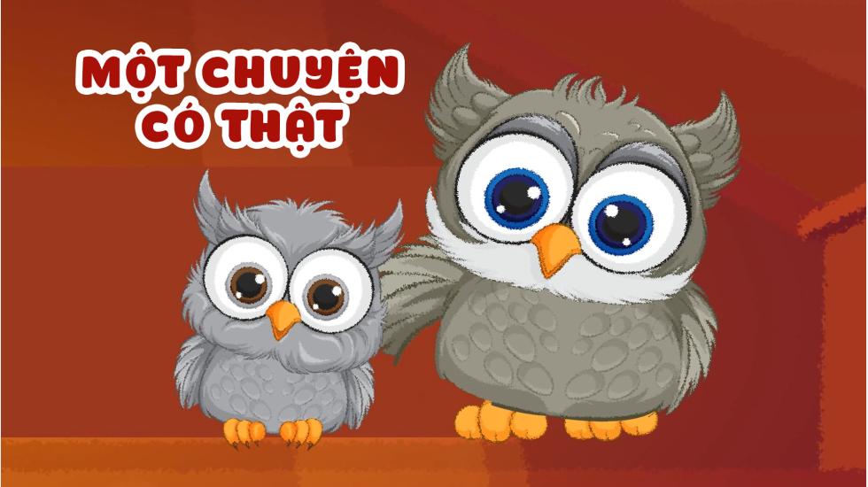 Một Chuyện Có Thật (Truyện Cổ Tích Andercen)