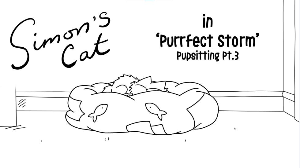 SimonsCat2021_EP10_PerfectStorm