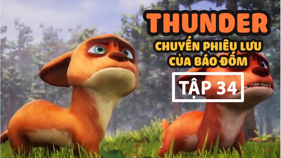 Thunder Tập 34 - Chuyến Phưu Lưu Của Báo Đốm - Phim Hoạt Hình Hàn Quốc Thuyết Minh Hay Nhất 2020