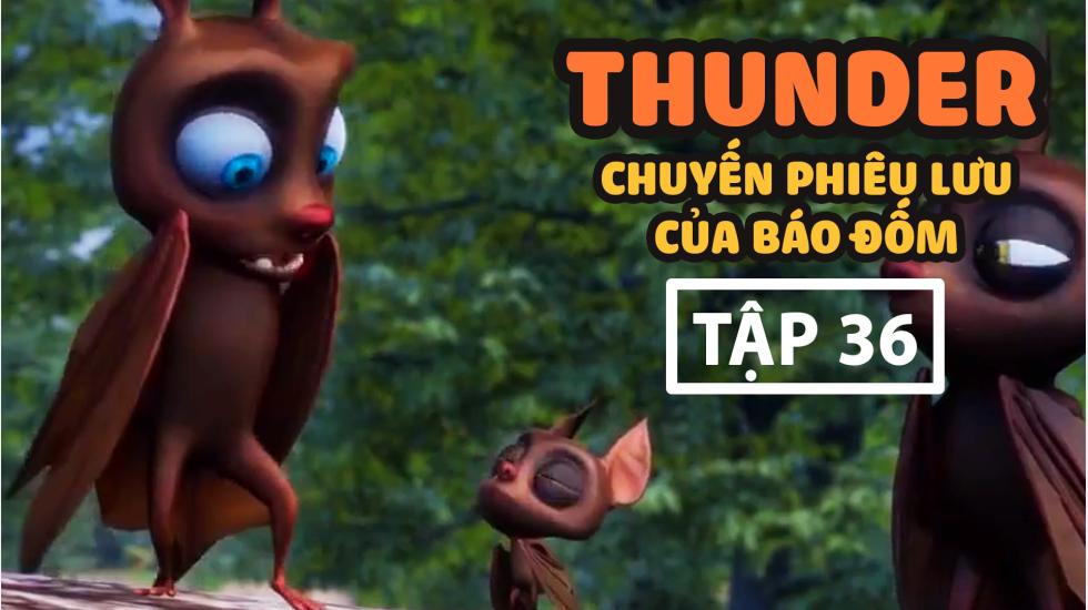 Thunder Tập 36 - Chuyến Phưu Lưu Của Báo Đốm - Phim Hoạt Hình Hàn Quốc Thuyết Minh Hay Nhất 2020