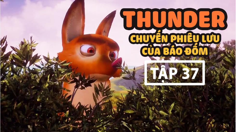 Thunder Tập 37 - Chuyến Phưu Lưu Của Báo Đốm - Phim Hoạt Hình Hàn Quốc Thuyết Minh Hay Nhất 2020