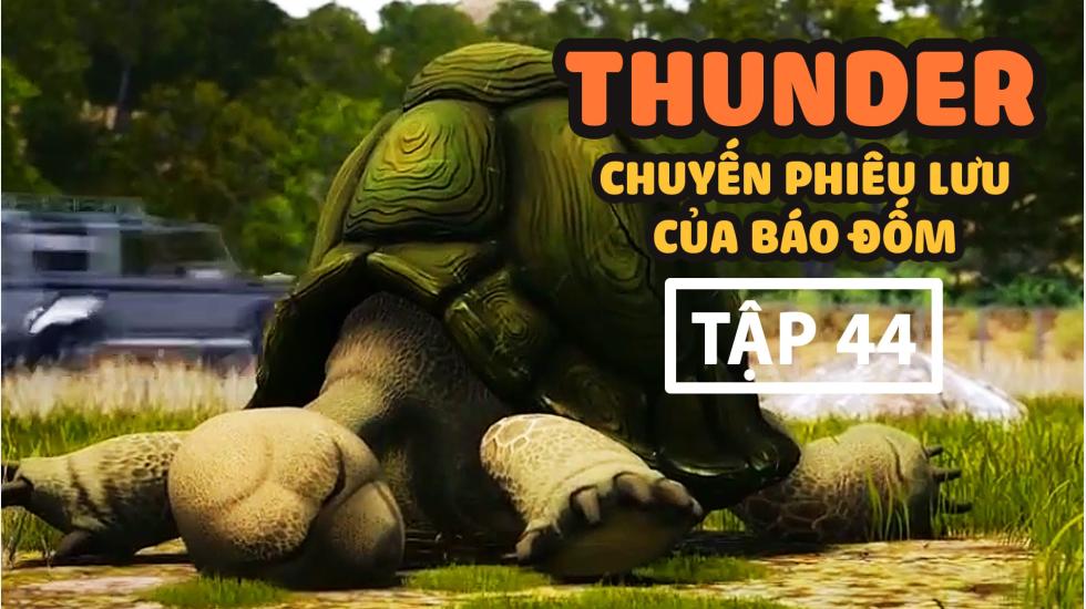 Thunder Tập 43 - Chuyến Phưu Lưu Của Báo Đốm - Phim Hoạt Hình Hàn Quốc Thuyết Minh Hay Nhất 2020