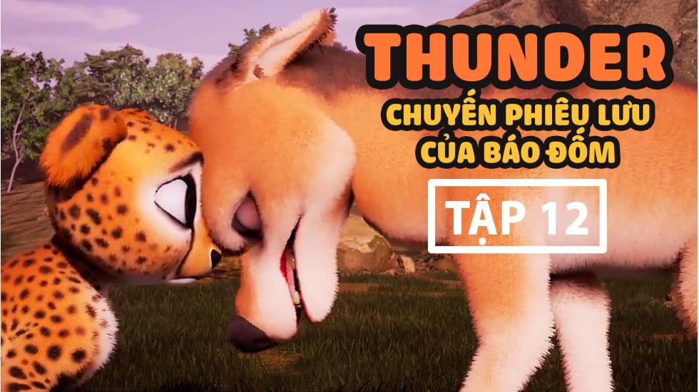 Thunder Tập 12 - Chuyến Phưu Lưu Của Báo Đốm - Phim Hoạt Hình Hàn Quốc Thuyết Minh Hay Nhất 2020