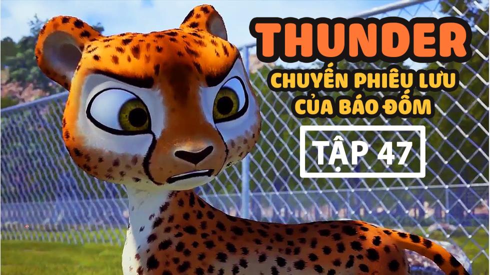 Thunder Tập 47 - Chuyến Phưu Lưu Của Báo Đốm - Phim Hoạt Hình Hàn Quốc Thuyết Minh Hay Nhất 2020