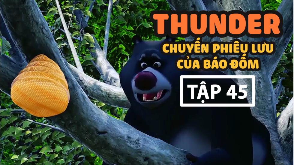 Thunder Tập 45 - Chuyến Phưu Lưu Của Báo Đốm - Phim Hoạt Hình Hàn Quốc Thuyết Minh Hay Nhất 2020