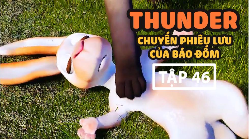 Thunder Tập 46 - Chuyến Phưu Lưu Của Báo Đốm - Phim Hoạt Hình Hàn Quốc Thuyết Minh Hay Nhất 2020