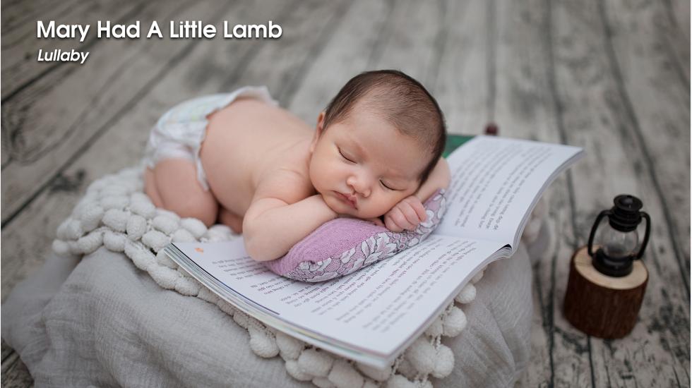 Mary Had A Little Lamb-Lullaby-Video
