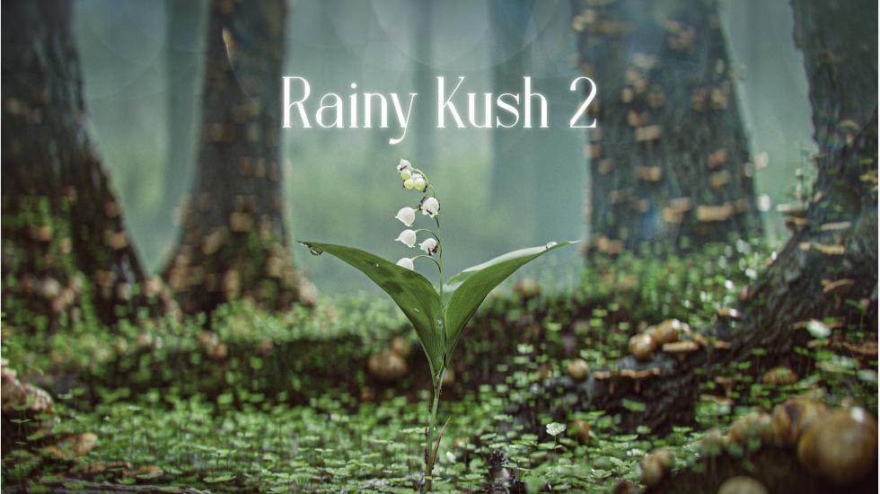 Rainy Kush