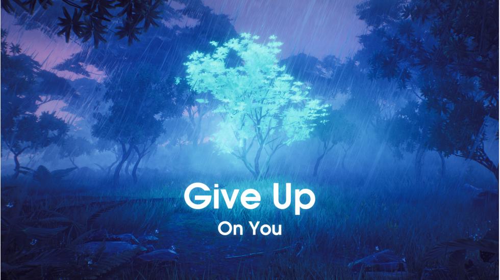 Give Up On You