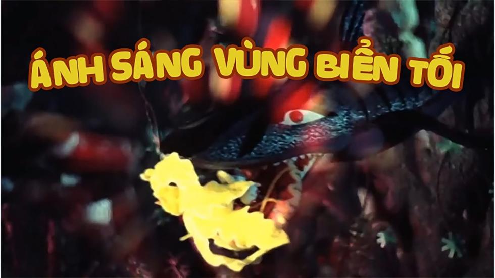 Ánh Sáng Vùng Biển Tối | Phim Hoạt Hình Việt Nam