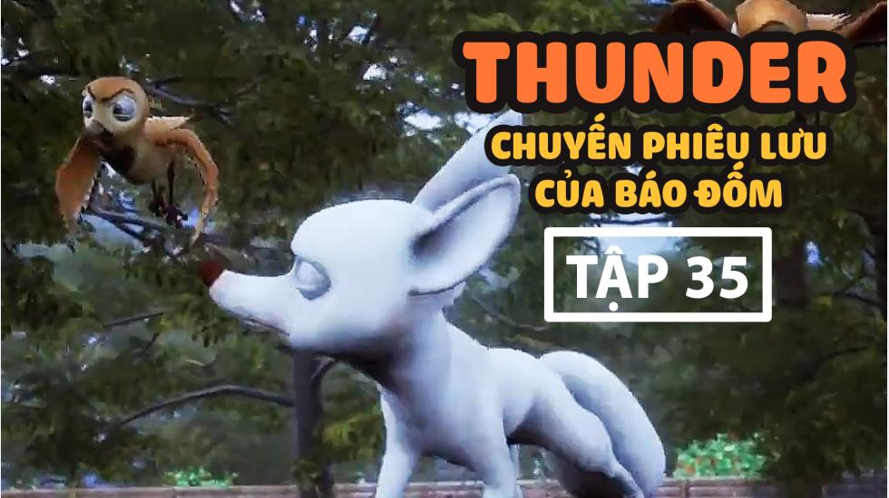 Thunder Tập 35 - Chuyến Phưu Lưu Của Báo Đốm - Phim Hoạt Hình Hàn Quốc Thuyết Minh Hay Nhất 2020