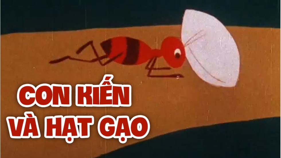 Con Kiến Và Hạt Gạo | Phim Hoạt Hình Việt Nam 2020